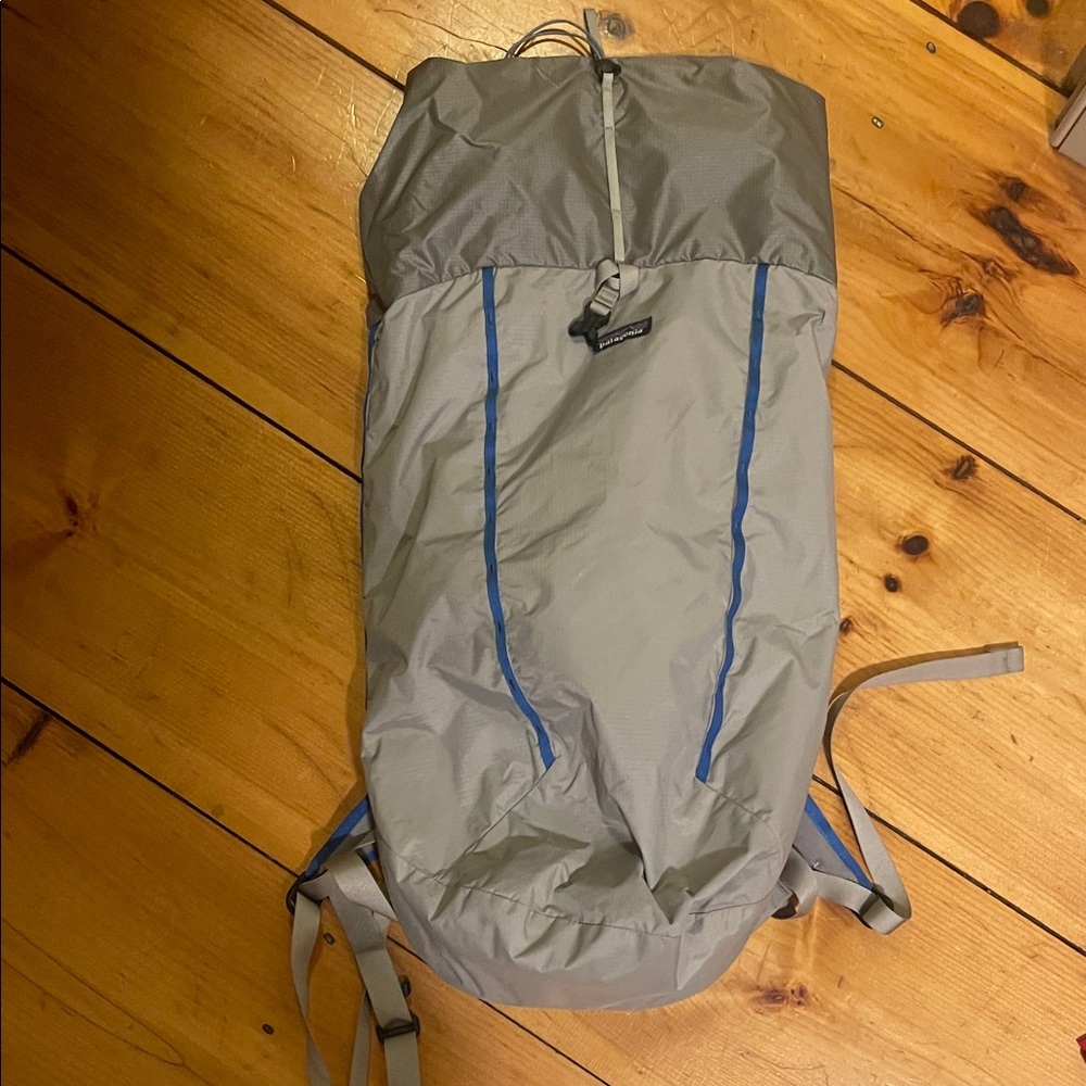 Patagonia Gray Backpack